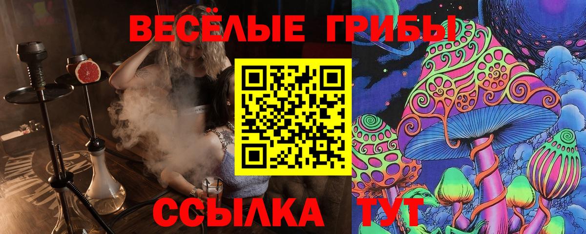 сколько стоит  Вход с VPN  Рассказово  Галлюциногенные грибы мицелий  Псилоцибиновые грибы мицелий 