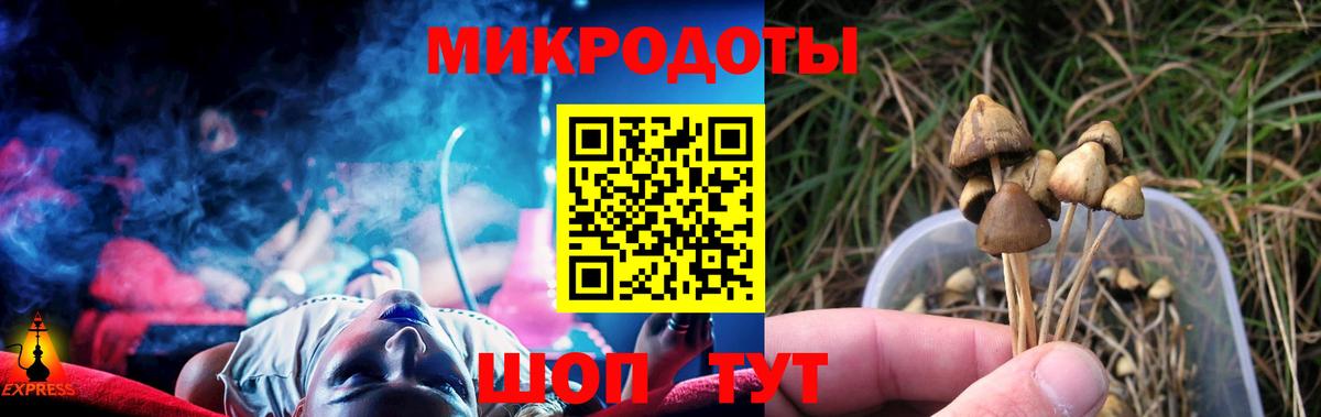 Псилоцибиновые грибы мухоморы Рассказово